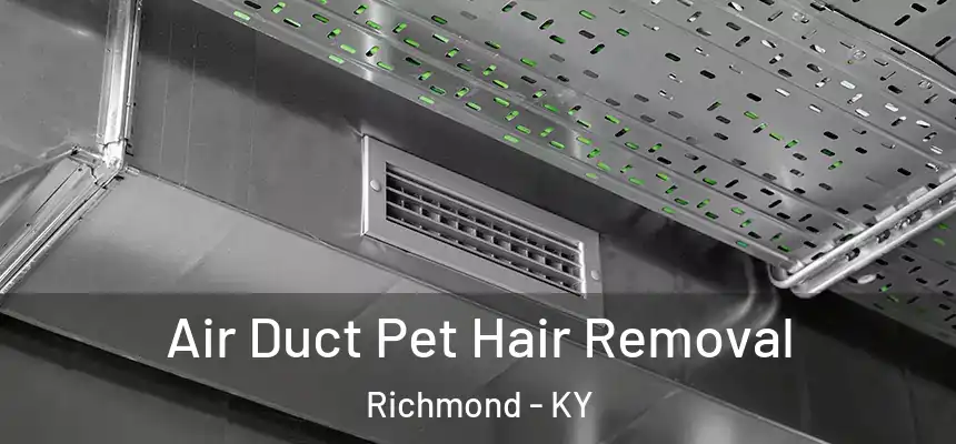  Air Duct Pet Hair Removal Richmond - KY