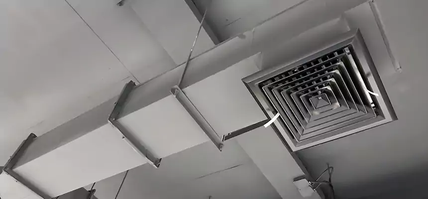 Our Rodent Droppings In Vents Services in Richmond, KY