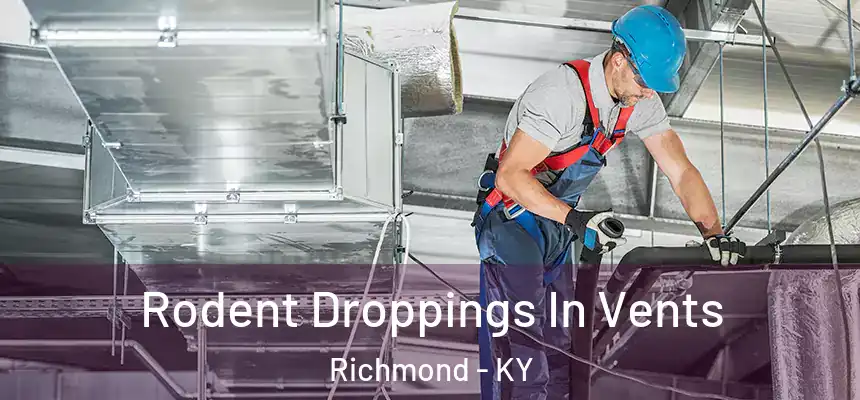  Rodent Droppings In Vents Richmond - KY