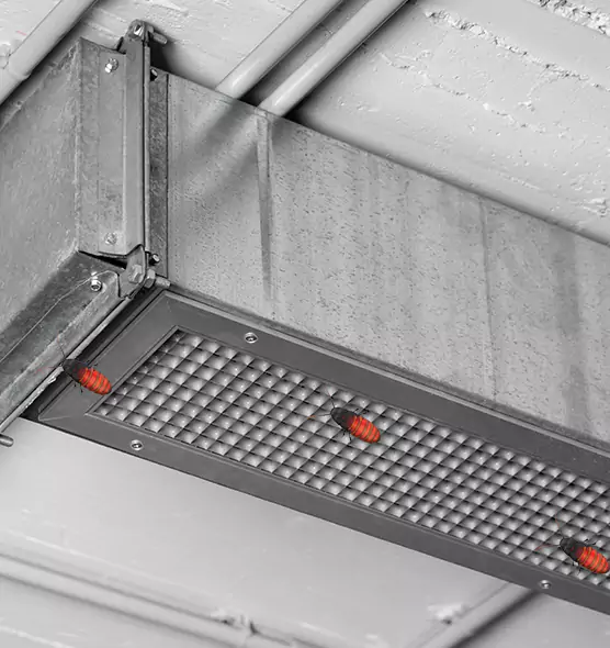 Affordable Insect Removal from Air Ducts in Richmond, KY