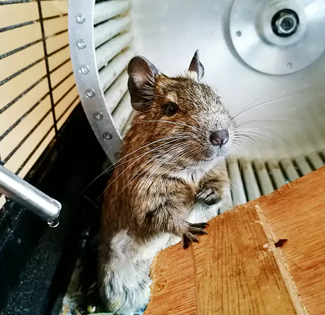 Why Homeowners & Businesses Trust Us Richmond, KY